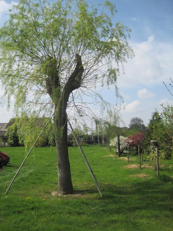 Haus Am Park Lägenhet Thallwitz Rum bild