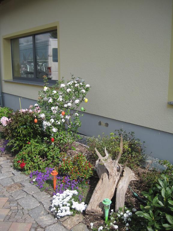 Haus Am Park Lägenhet Thallwitz Rum bild