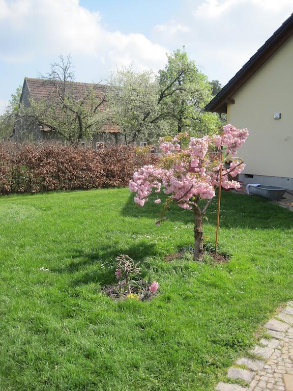 Haus Am Park Lägenhet Thallwitz Rum bild