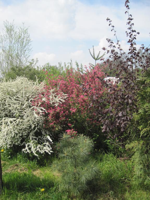 Haus Am Park Lägenhet Thallwitz Rum bild